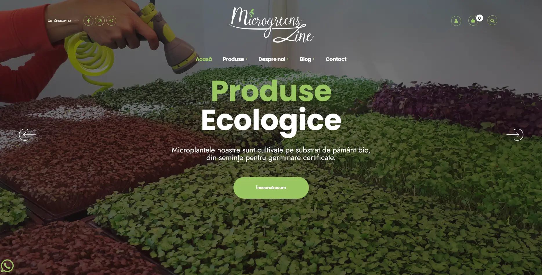 eCommerce preview desktop